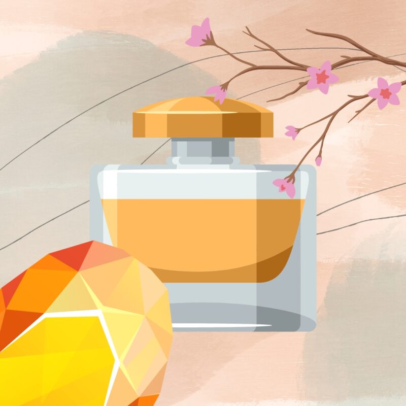 illustration of perfume with amber and wood scent