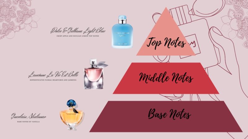 Illustration of Perfumes for Each Note 