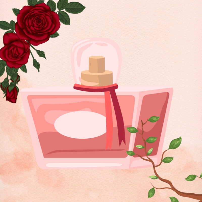 Illustration of perfume with wood and rose scent
